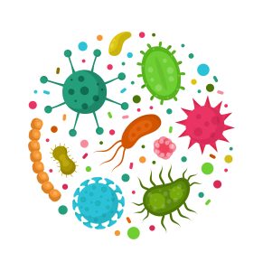 gut microbiome