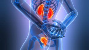 urinary health